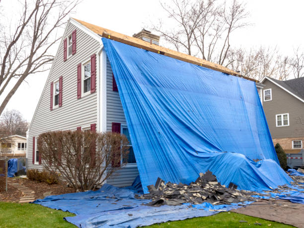 Best Wood Siding Installation  in Horn Lake, MS